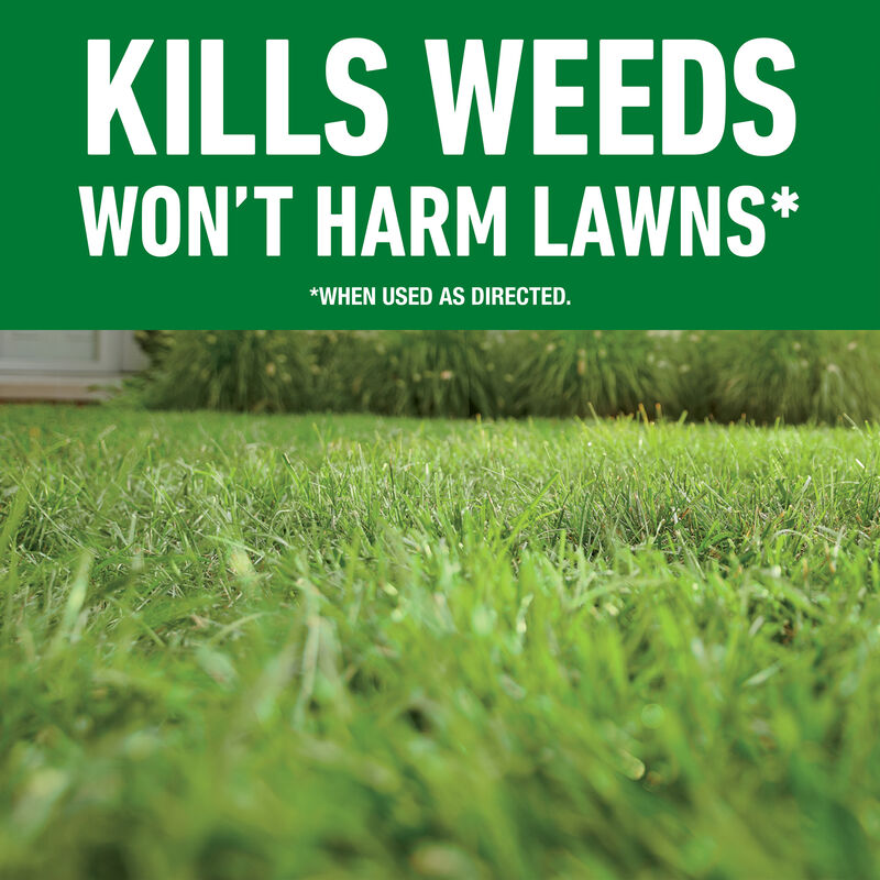 Roundup® For Lawns₁ image number null